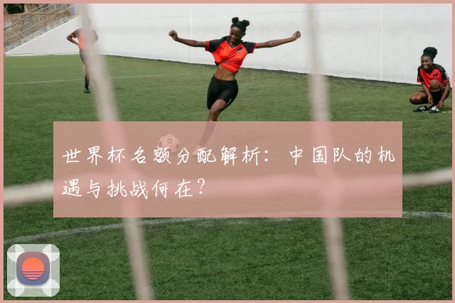 世界杯名额分配解析:中国队的机遇与挑战何在?