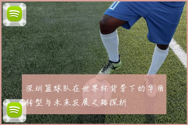 深圳篮球队在世界杯背景下的华丽转型与未来发展之路探析