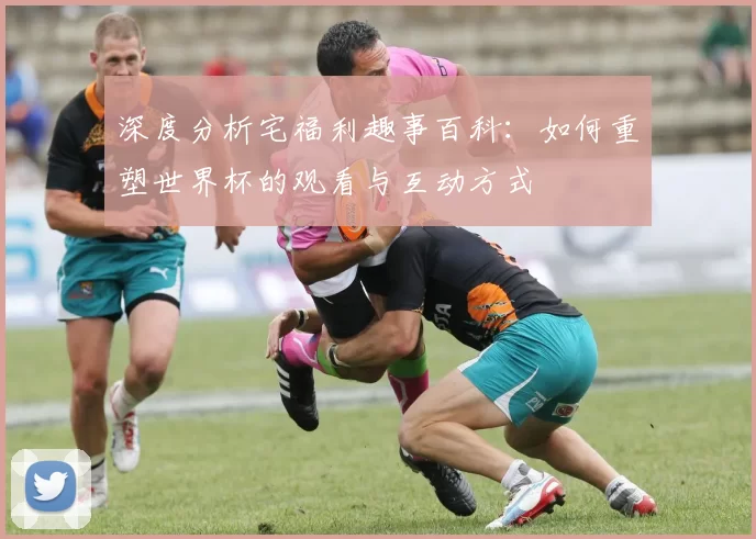 深度分析宅福利趣事百科:如何重塑世界杯的观看与互动方式