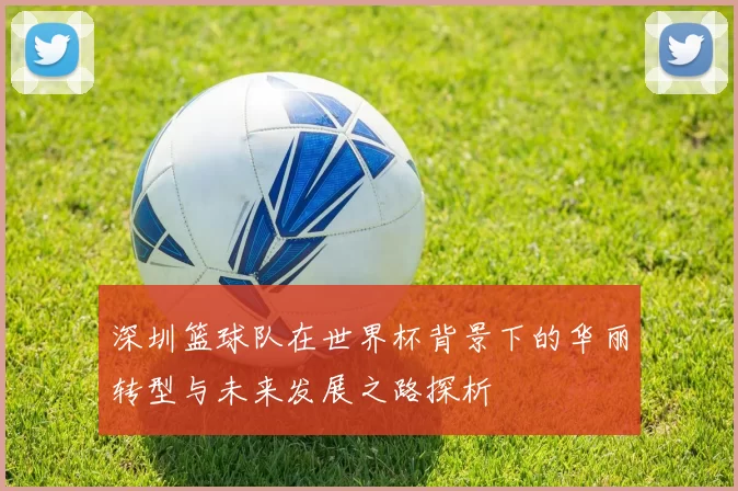 深圳篮球队在世界杯背景下的华丽转型与未来发展之路探析