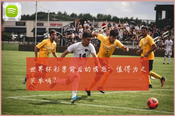 世界杯彩票背后的诱惑:值得为之买单吗?