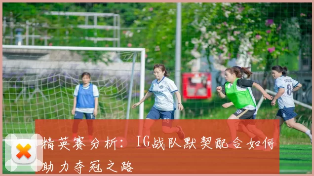 精英赛分析:IG战队默契配合如何助力夺冠之路