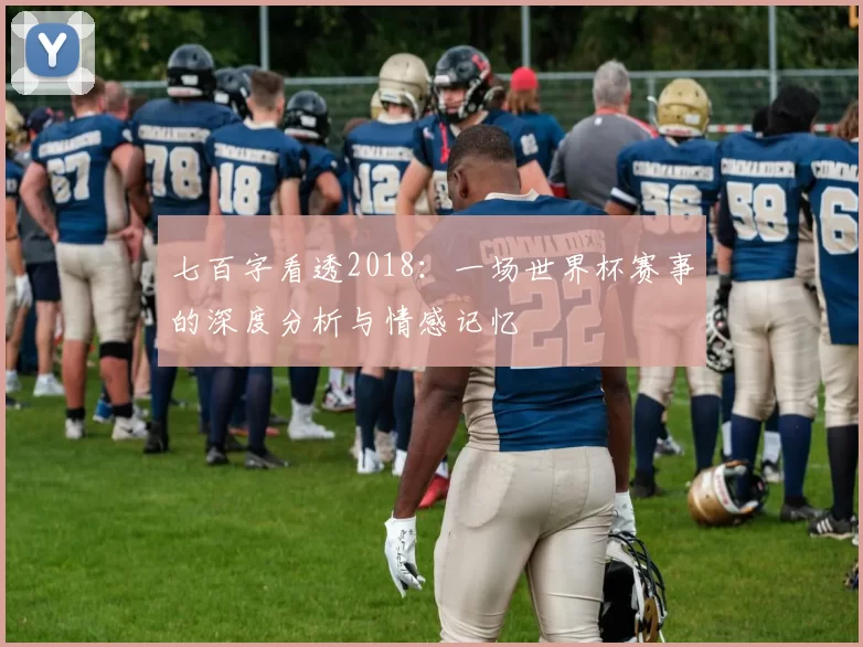 七百字看透2018：一场世界杯赛事的深度分析与情感记忆
