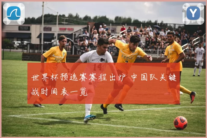 世界杯预选赛赛程出炉 中国队关键战时间表一览