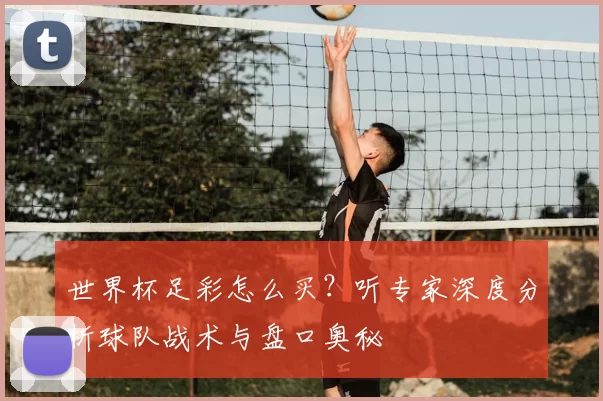 世界杯足彩怎么买?听专家深度分析球队战术与盘口奥秘